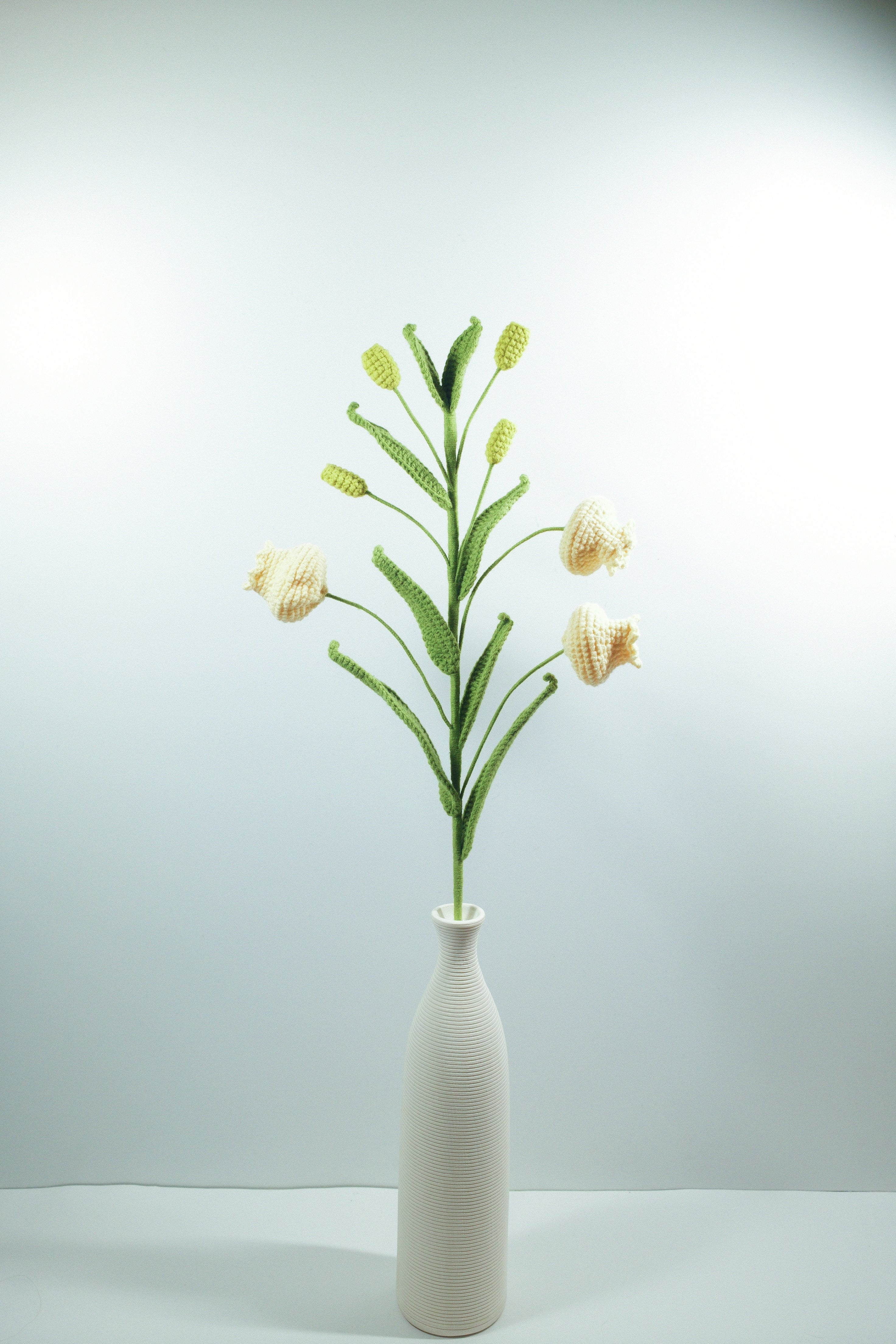 Lilium lancifolium | Palace Lantern Lilies