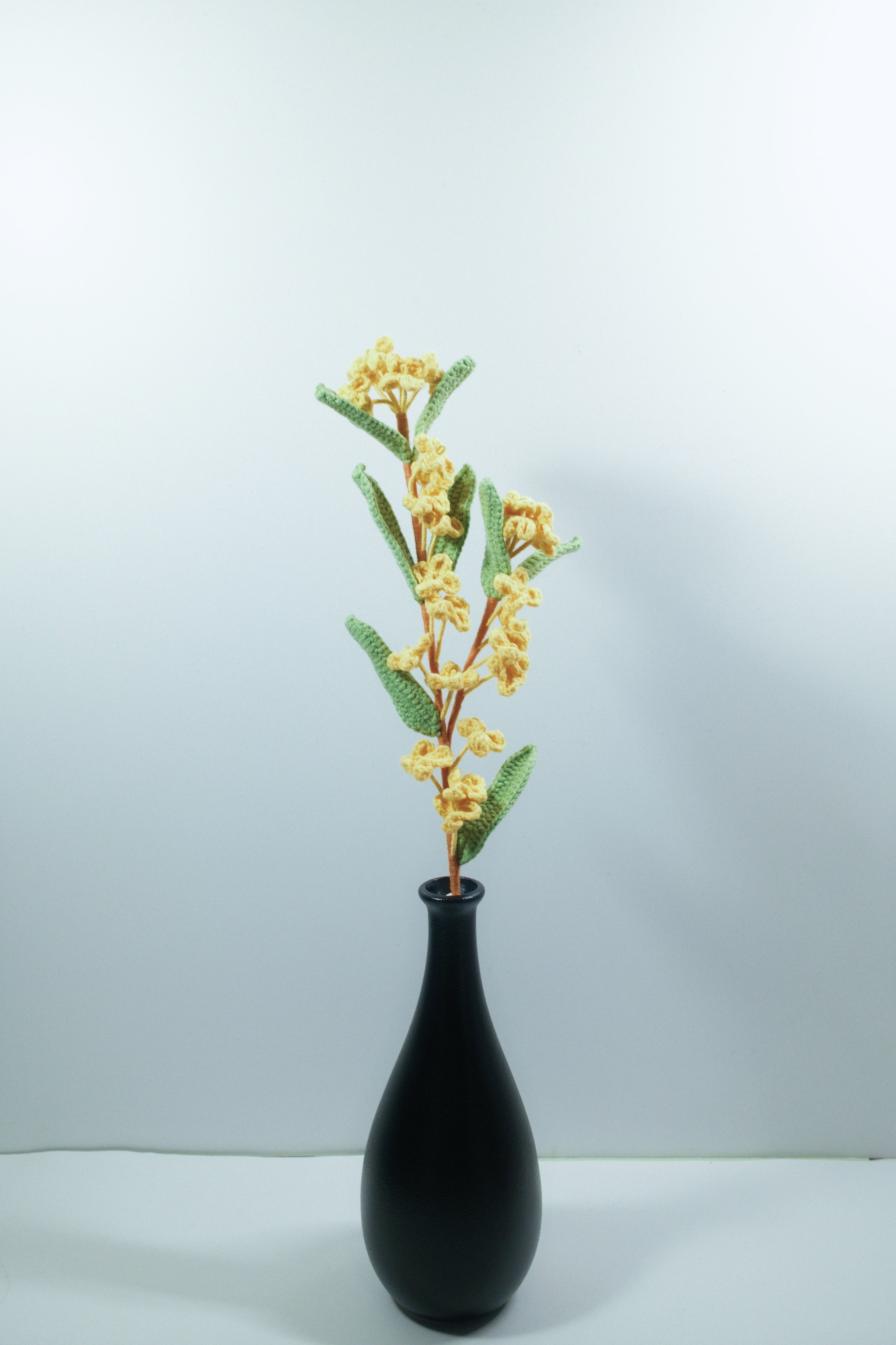 Winter Jasmine