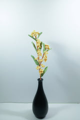Winter Jasmine