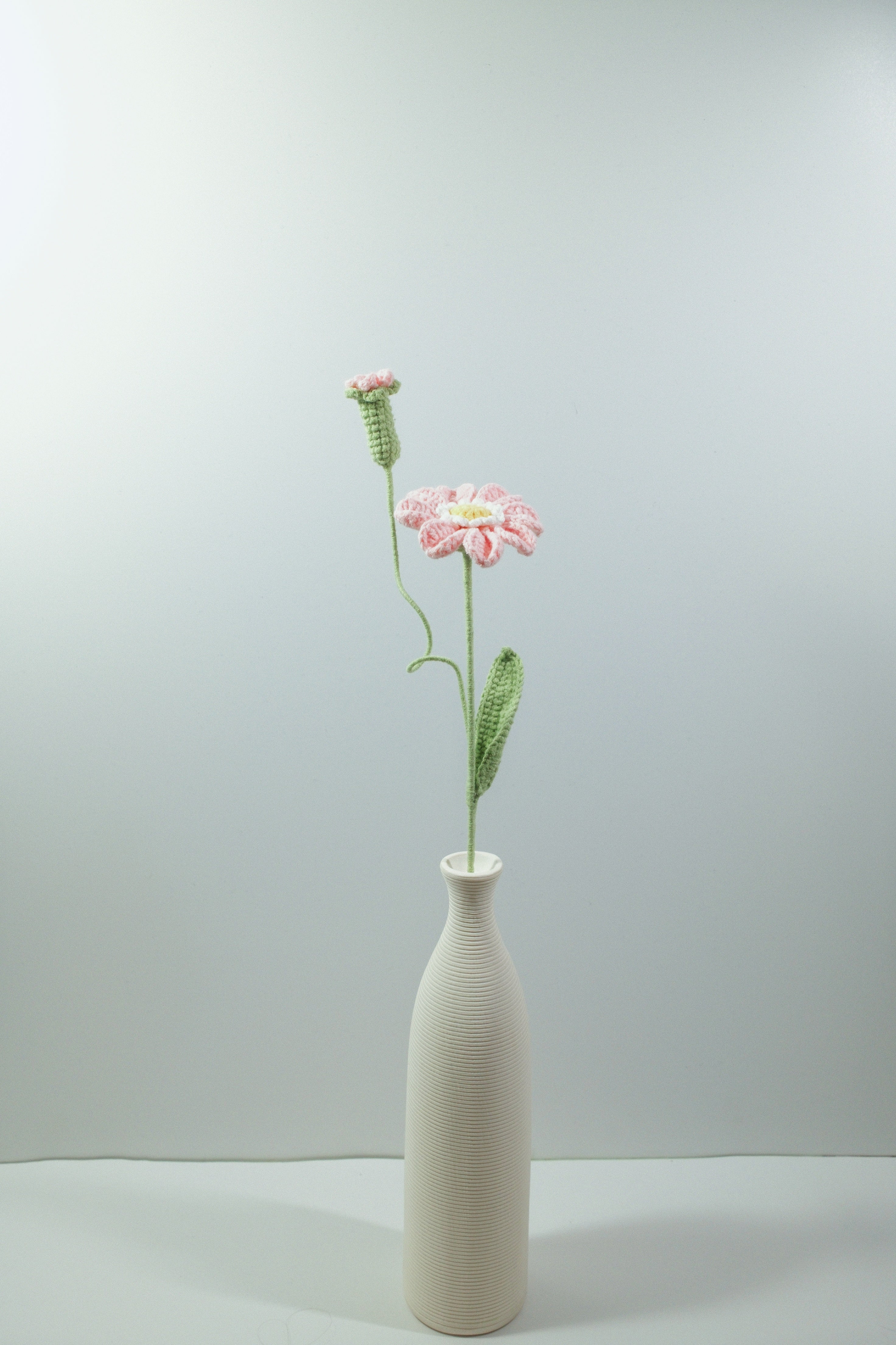 Zinnia | Single-layered Petals