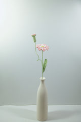 Zinnia | Single-layered Petals