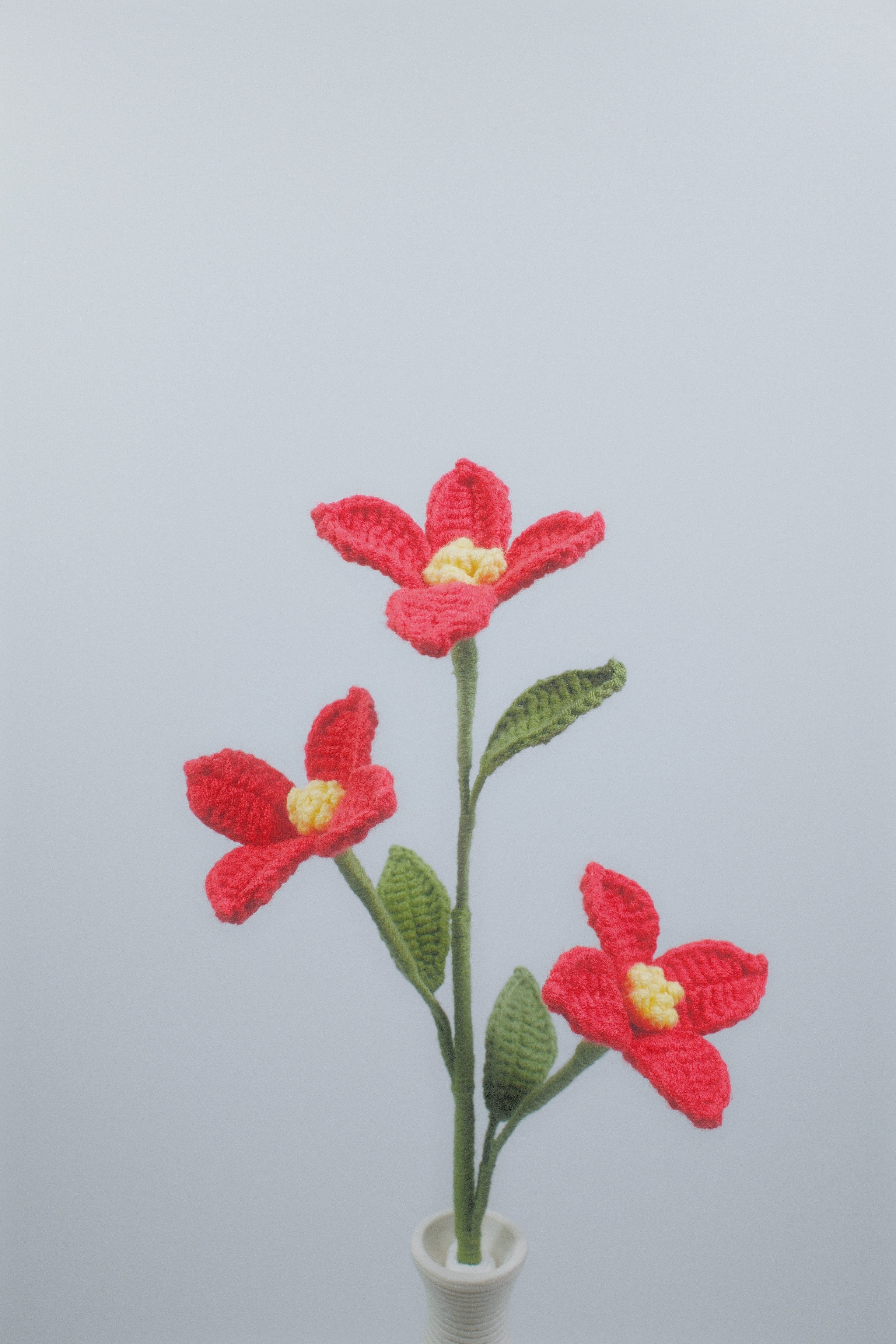 Torenia