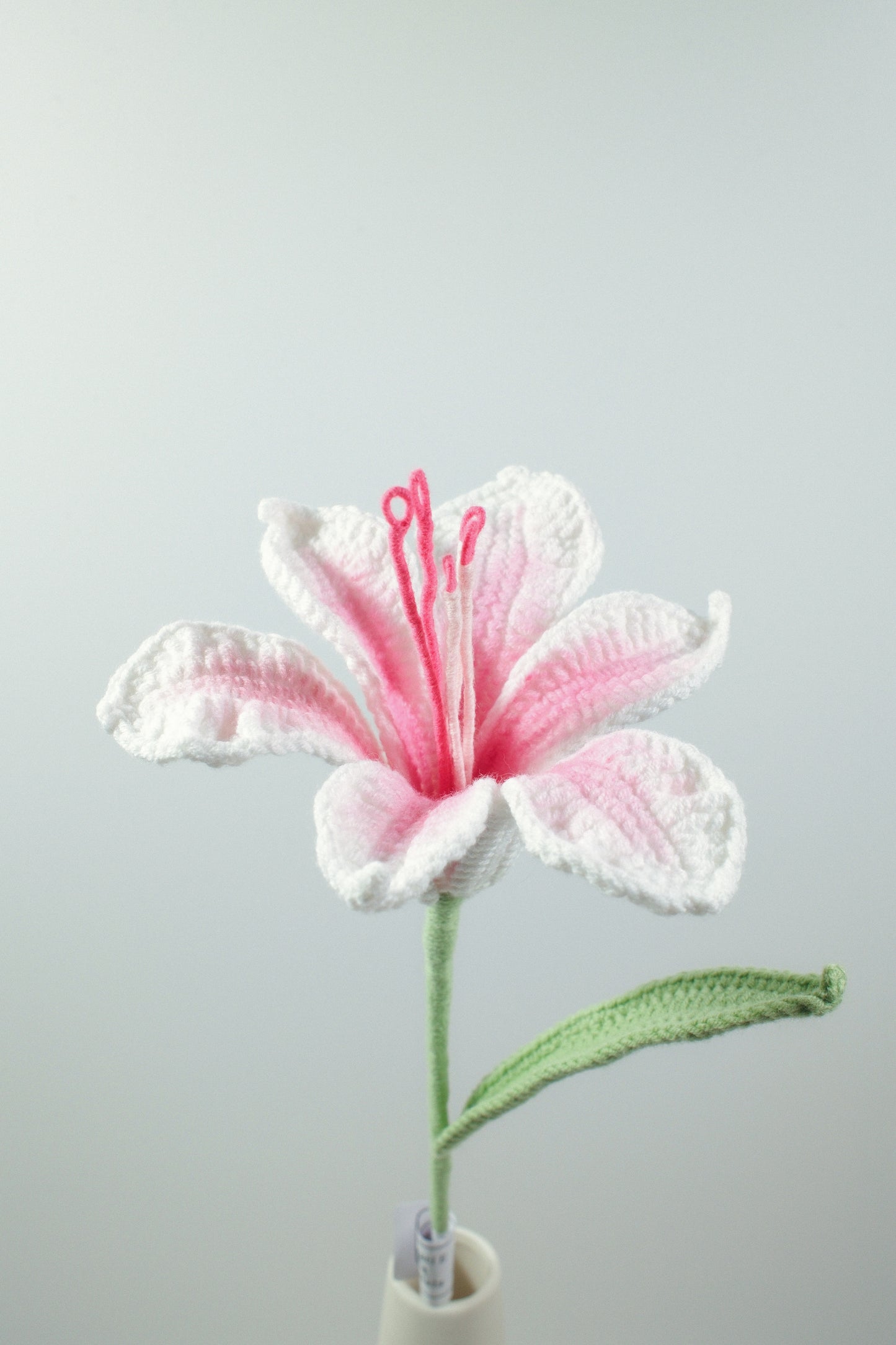 Alstroemeria Hybrida
