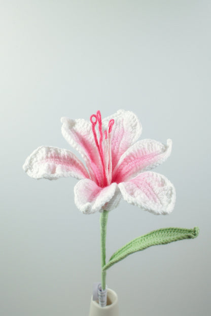 Alstroemeria Hybrida