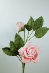 Geranium