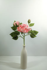 Peony Anthemy
