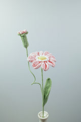 Zinnia | Single-layered Petals