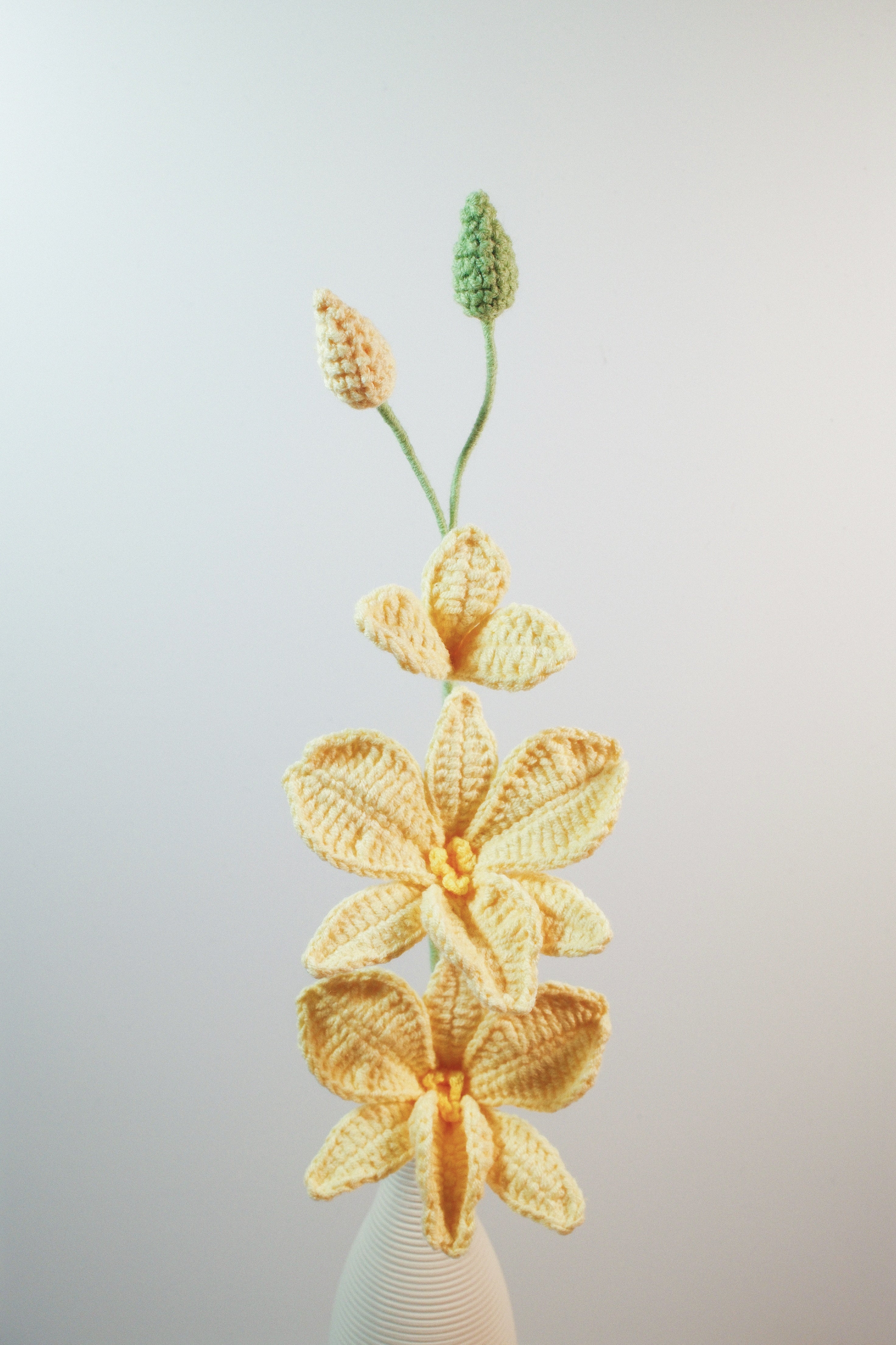Dendrobium