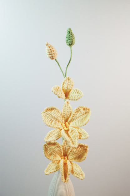 Dendrobium