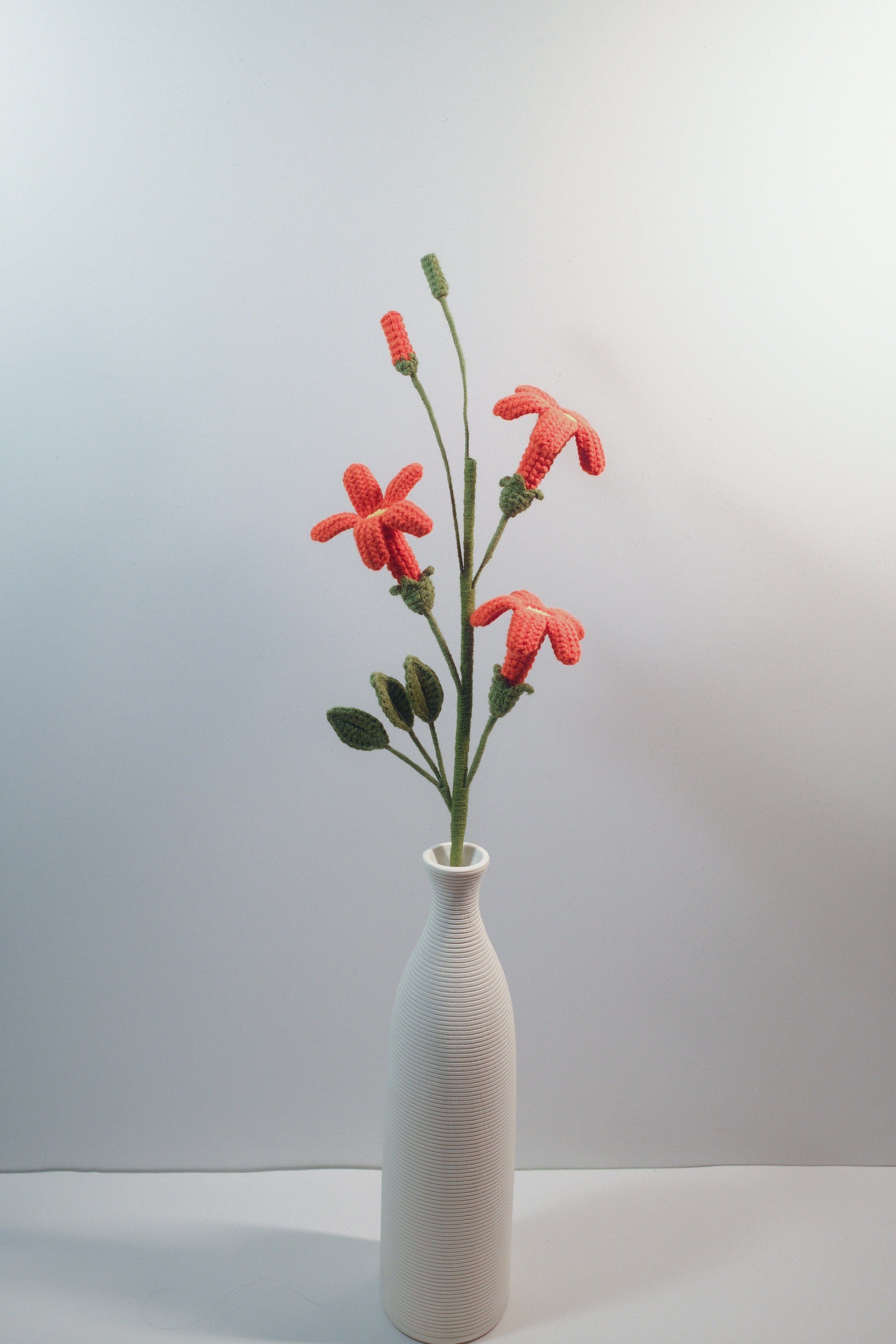 Trumpet Vine