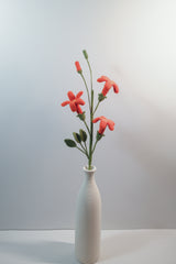 Trumpet Vine