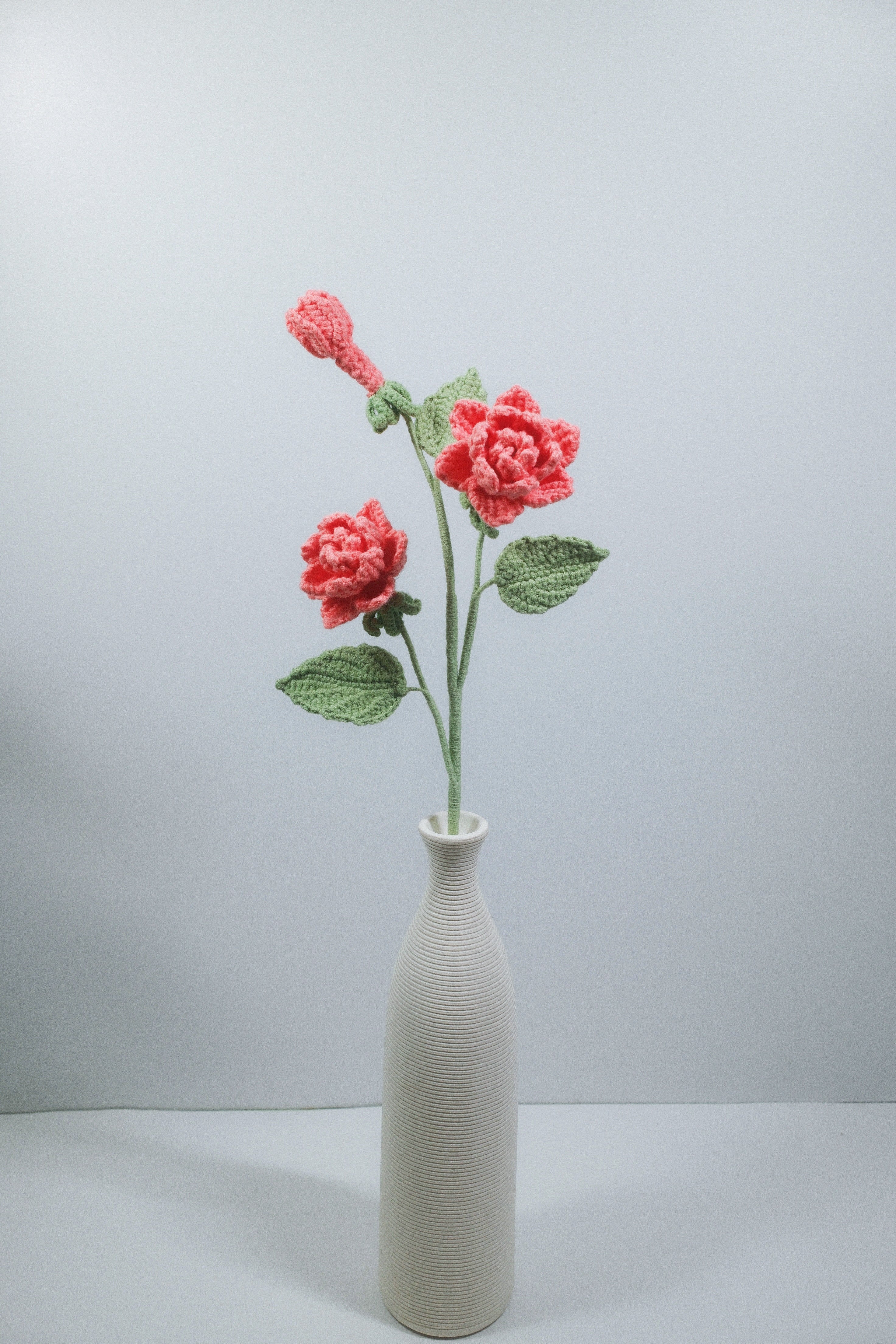 Gardenia