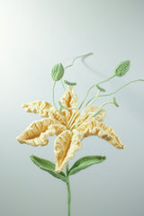 Gloriosa Lily